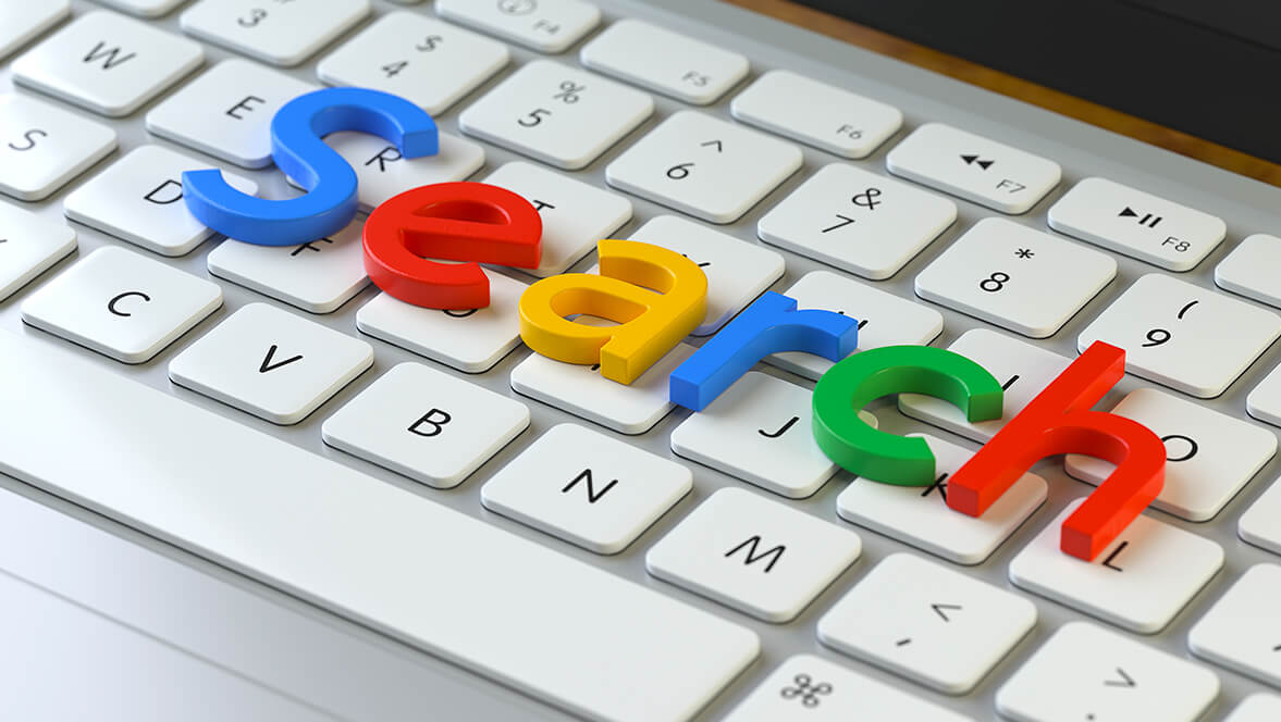 2020: the year in search