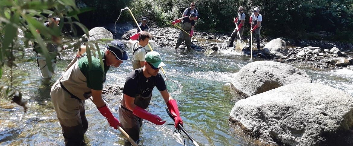 [external Link]: Centro Tutela Specie Acquatiche