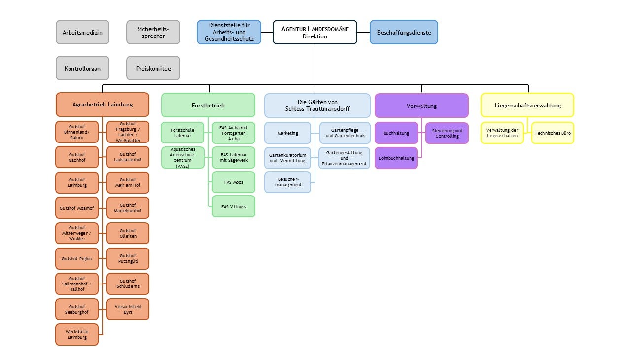 Organigramm der Agentur Landesdomäne - Dekret des Direktors Nr. 13/2026