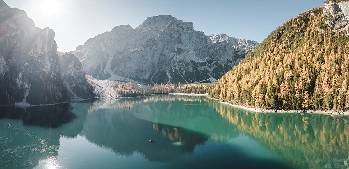 [external Link]: Azienda Forestale