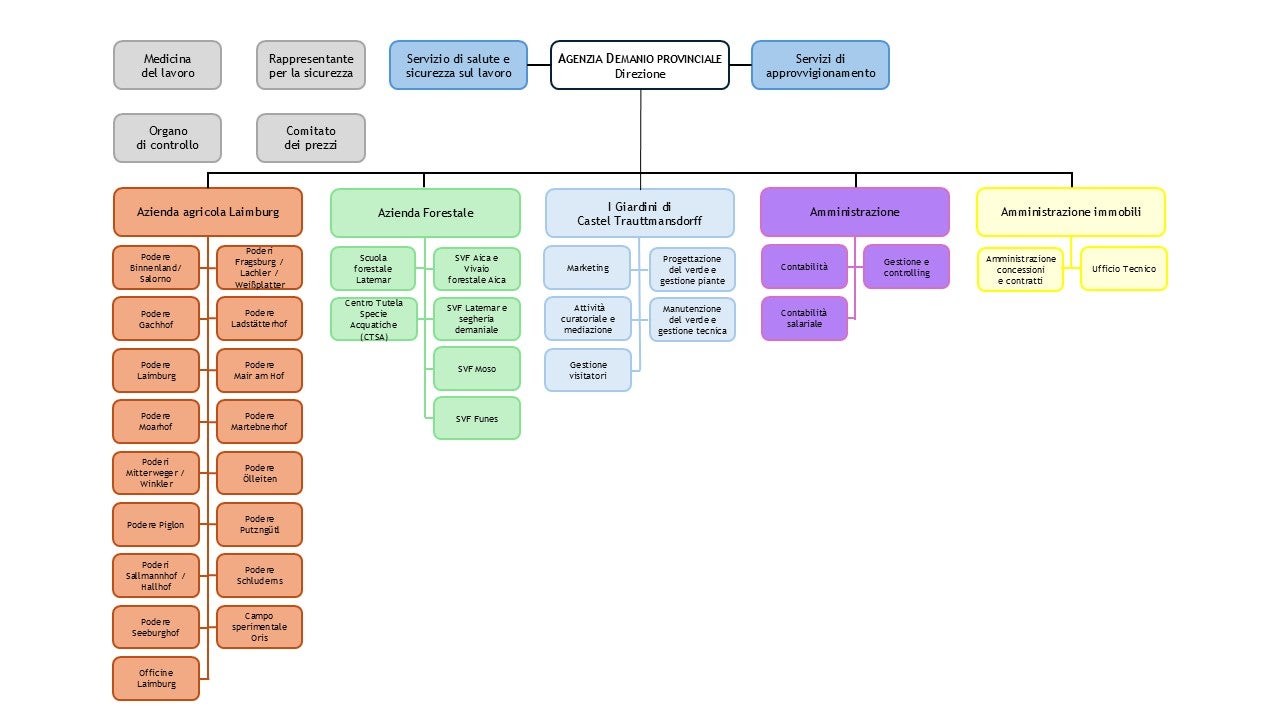 Organigramma dell'Agenzia Demanio provinciale - Decreto del Direttore n. 13/2026