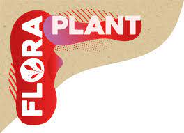 Flora Plant