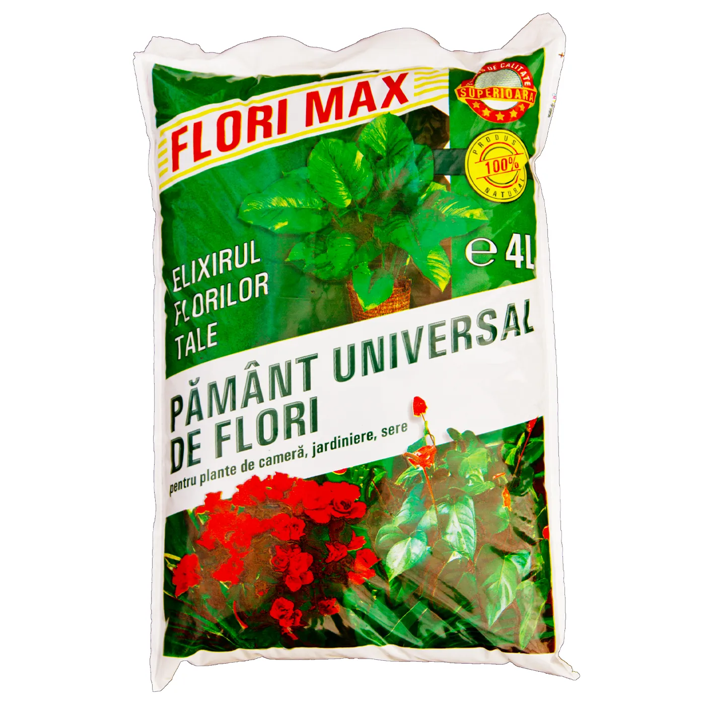 Caserole Termorezistente La PENNY caserole-termorezistente-la-penny