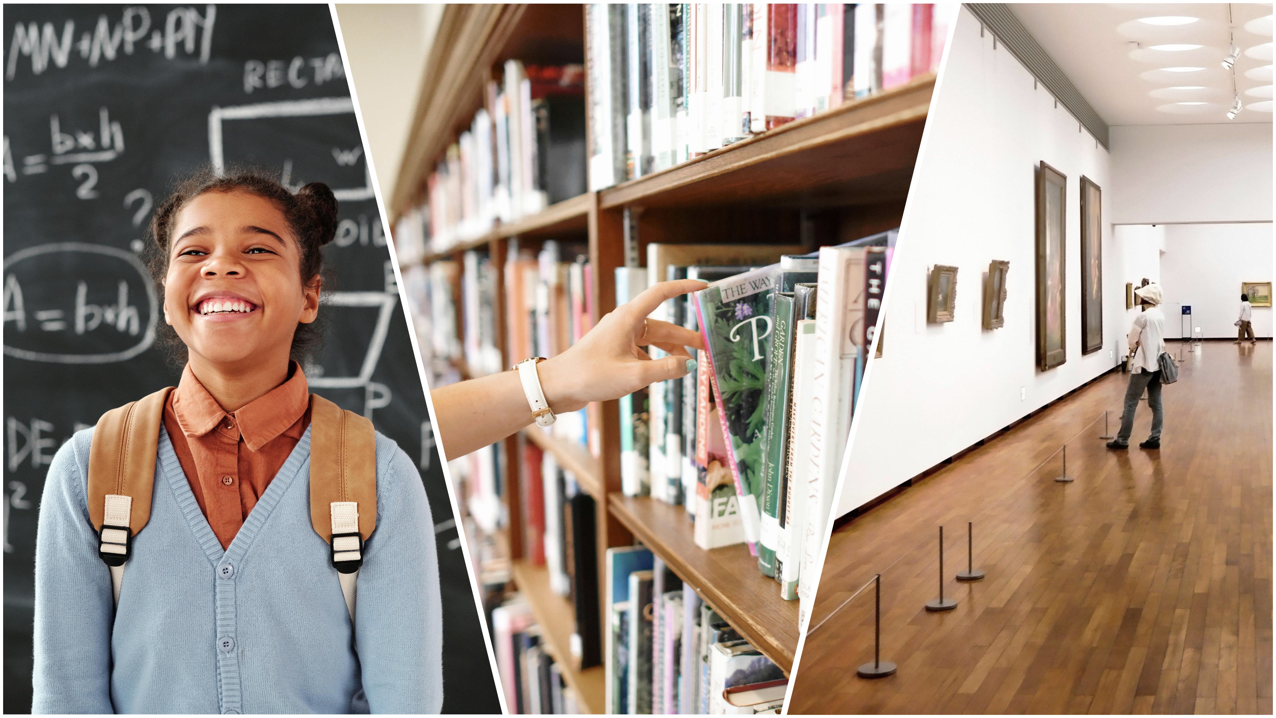 Bildung, Schulen, Museen, Bibliotheken und Kultur (Foto: Pixabay/Pexels)