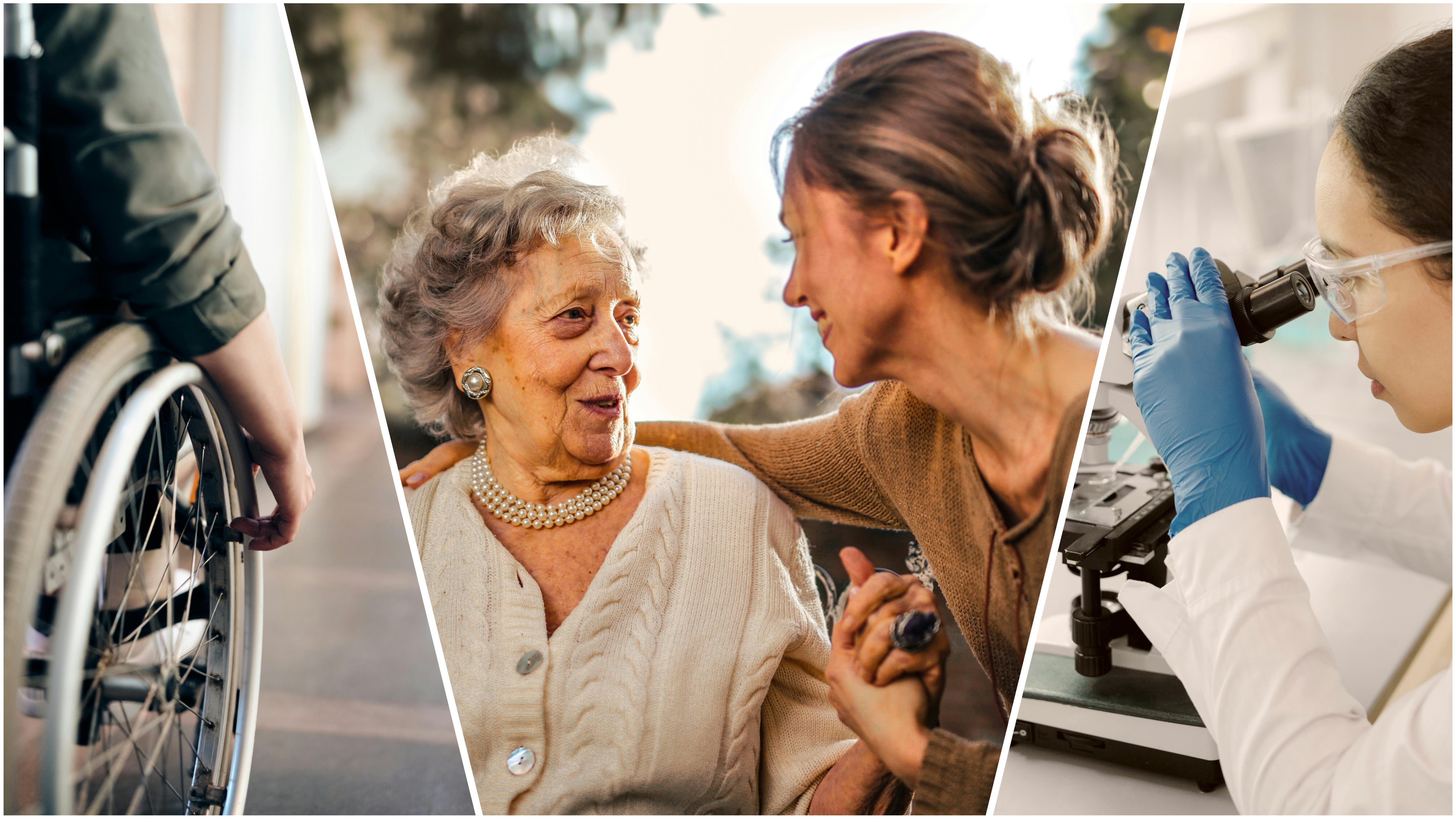 Gesellschaft und Soziales (Foto: Pexels/Pixabay)