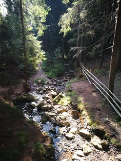 Tra ponti e ruscelli