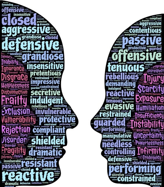 Griglia di valutazione del comportamento