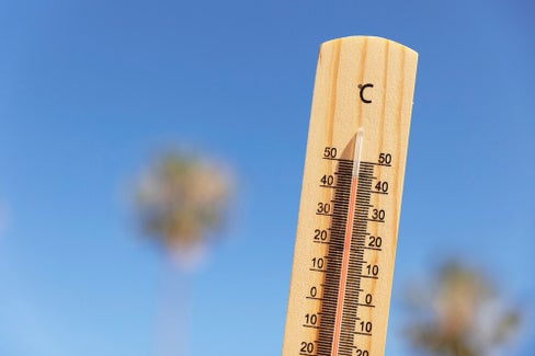Symbolbild eines Thermometers. (Foto: Freepik)