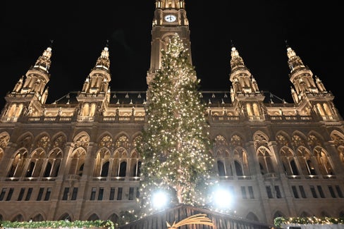 Fichte aus dem Rautal im Gadertal vor dem Wiener Rathaus (Foto: Gnews/Matteo Donagrandi)
