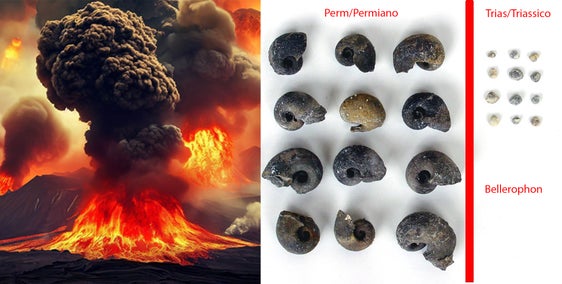 Eruzione vulcanica e fossili. (Foto: Museo Ladin)