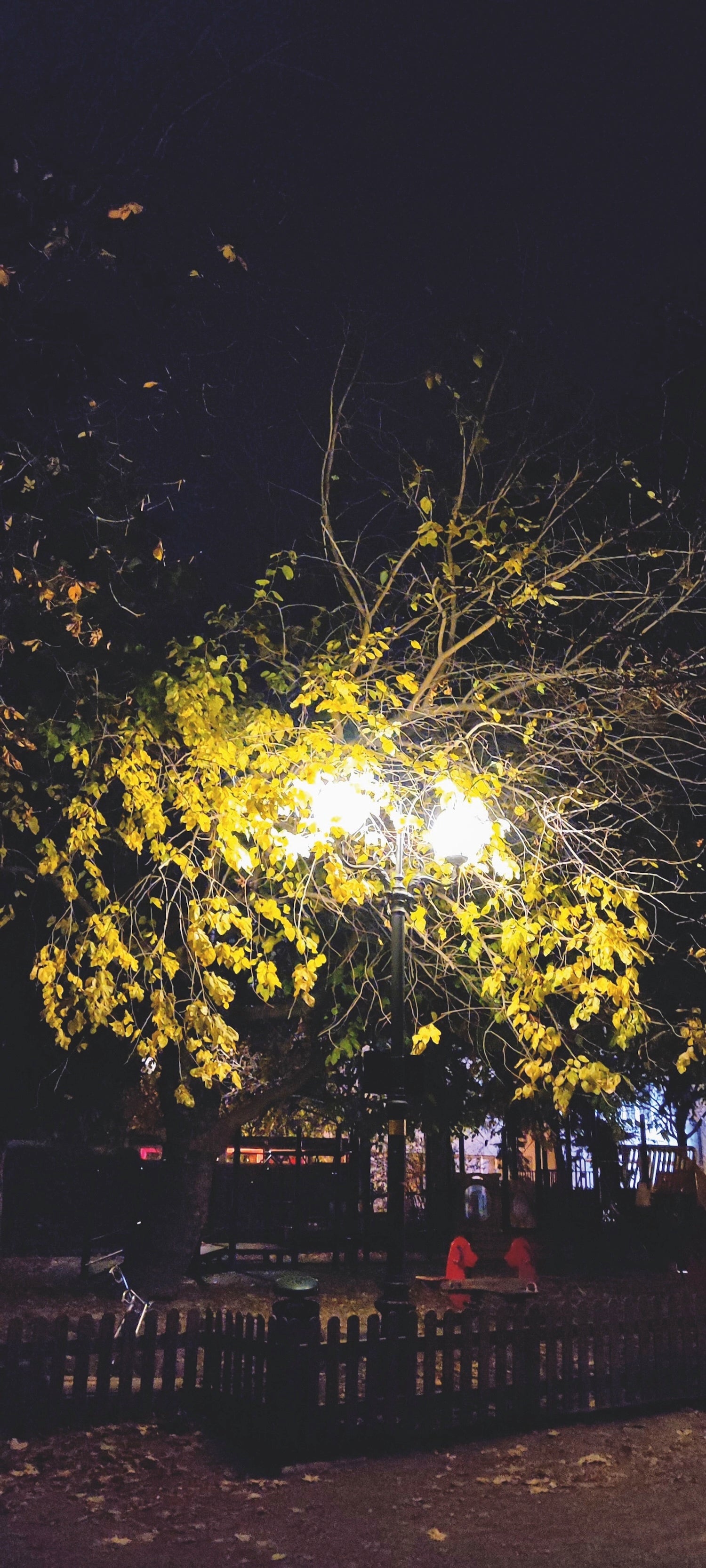 Ein von künstlichem Licht erhellter Spielplatz in Bozen bei Nacht: für nachtaktive Insekten, Fledermäuse und Amphibien wird die starke Beleuchtung zum Hindernis oder zur ökologischen Falle. (Foto: Naturmuseum Südtirol)