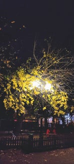 Un parco giochi illuminato artificialmente a Bolzano di notte: per insetti notturni, pipistrelli e anfibi l’illuminazione intensa diventa un ostacolo o una trappola ecologica. (Foto Museo di Scienze Naturali dell′Alto Adige)