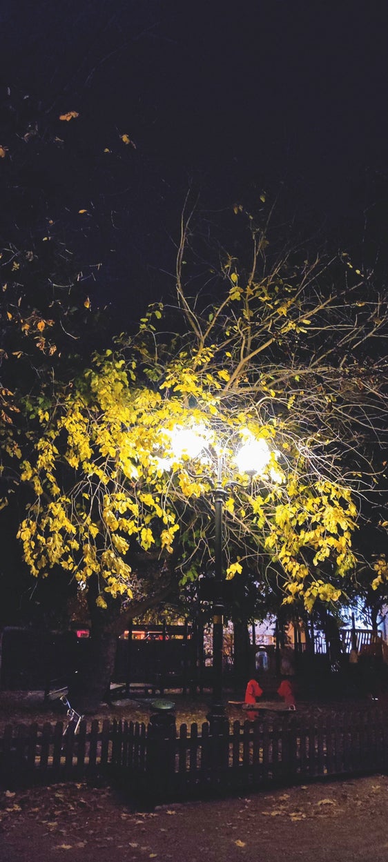 Un parco giochi illuminato artificialmente a Bolzano di notte: per insetti notturni, pipistrelli e anfibi l’illuminazione intensa diventa un ostacolo o una trappola ecologica. (Foto Museo di Scienze Naturali dell′Alto Adige)