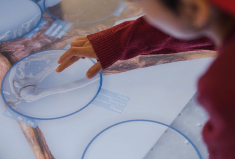 L’AI alleggerisce il lavoro e apre nuove possibilità per la trasmissione del sapere: descrizioni di oggetti generate automaticamente, conversione di guide audio e multimediali in più lingue o in un linguaggio semplice. Nella foto, il tavolo luminoso al Museo Archeologico dell’Alto Adige. (Foto: Patrizia Corriero)