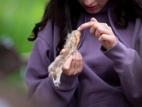 Foto: Fabio Brucculeri