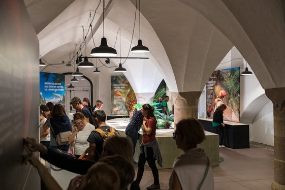 l 19 maggio 2024 si svolgerà la Giornata Internazionale dei Musei, alla quale partecipano anche i Musei provinciali dell’Alto Adige. Quest’anno il Consiglio internazionale dei musei invita a focalizzarsi in particolare su due obiettivi dell’Agenda 2030: istruzione di qualità (obiettivo 4) e industria, innovazione e infrastrutture (obiettivo 9). (Foto: Museo di Scienze Naturali dell’Alto Adige/Luca Guadagnini)