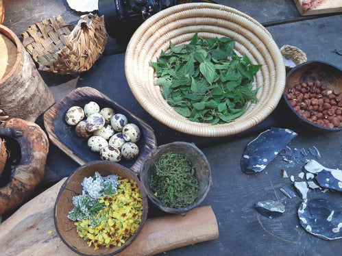 Tutto ciò che ad occhi inesperti appare come un bosco qualsiasi, grazie ad una guida esperta si rivela una dispensa fornita di ogni ben di Dio. (Foto: Museo Archeologico dell′Alto Adige)
