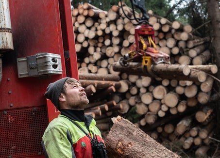 2,4 Millionen Kubikmeter Schadholz sind wegen des Borkenkäfers aus Südtirols Wäldern zu entfernen.  Fast ein Viertel war Anfang  März geschafft. (Foto: LPA/Ivo Corrà)