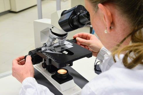 Das Land vergibt Förderpreise für Abschlussarbeiten zu Geschlechterfragen, aber auch für Frauen, die im Wissenschaftsbetrieb tätig sind. (Foto: LPA/Peter Daldos) 