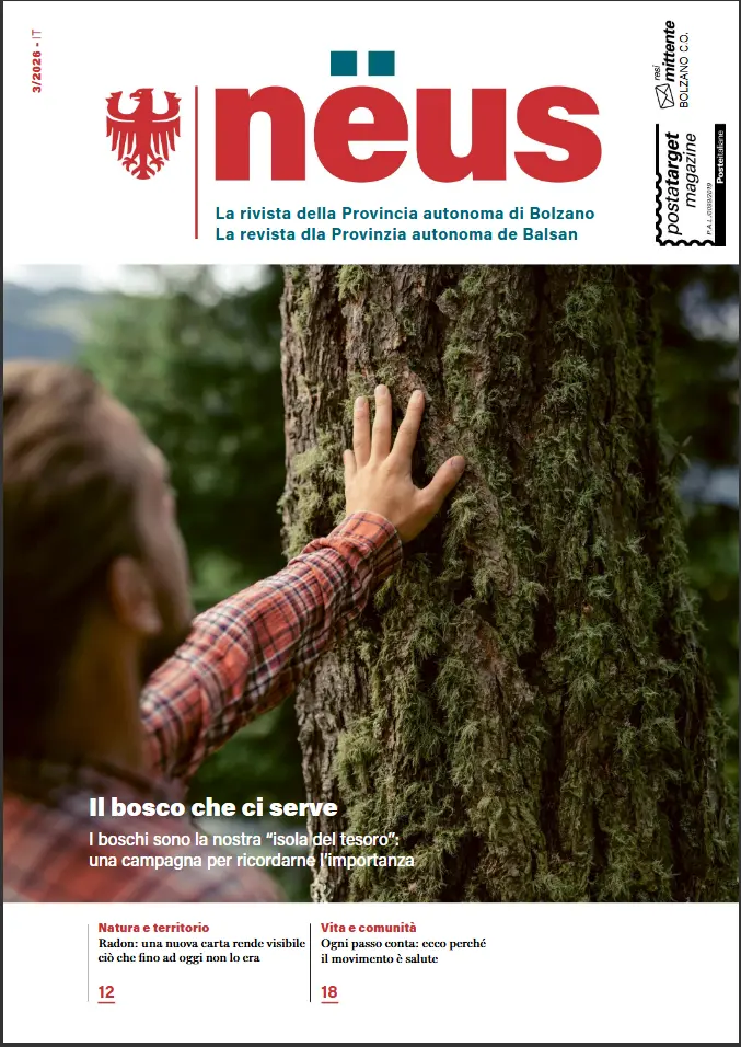 nëus n. 3/2026