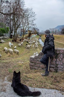 Daniel Paratscha, Schafhirte aus Stern im Gadertal, verbringt den Winter mit der Schafherde am Etschufer. (Foto: Greta Stuefer)