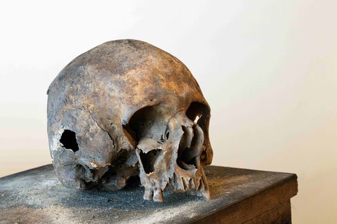 Der Schädel von Meinrads II. (Foto: Hubert Auer)