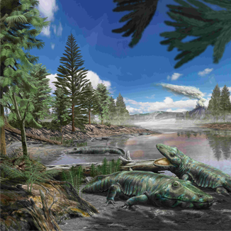 (Illustration: Davide Bonadonna)