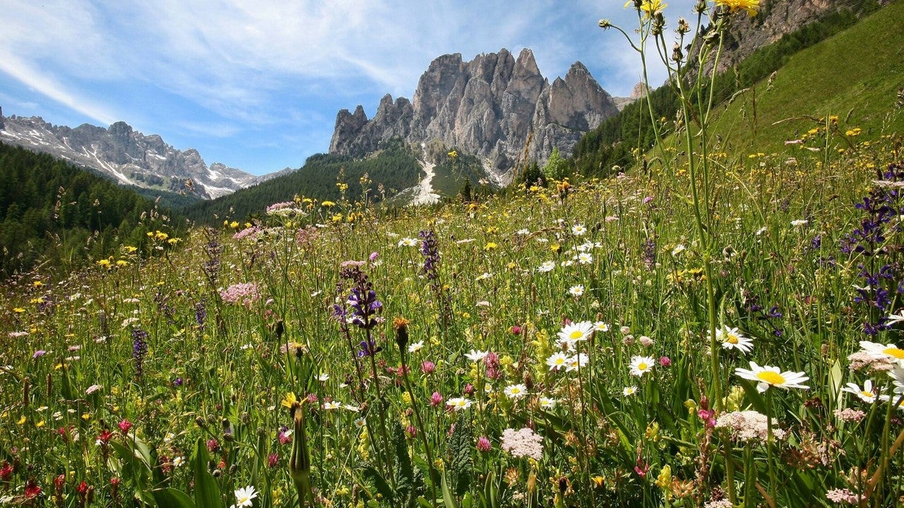 La salvaguardia degli ambienti naturali e della biodiversità