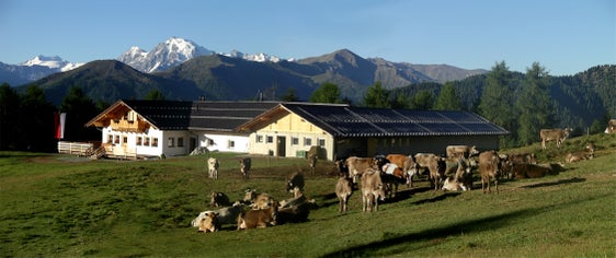 „Höferalm“ von Prämajur, einem Weiler oberhalb von Burgeis (Gemeinde Mals)