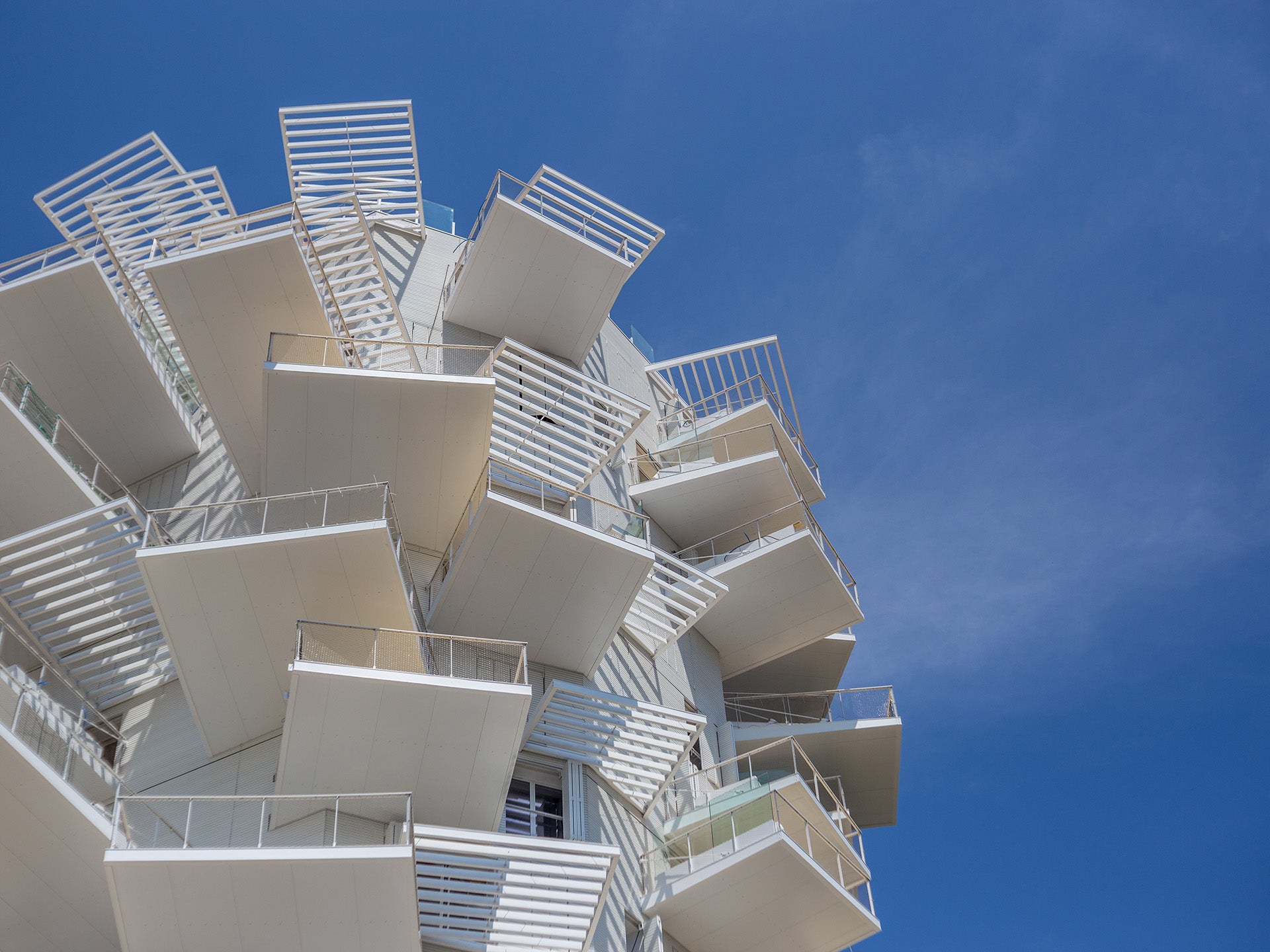 L'Arbre Blanc : la nouvelle signature architecturale emblématique