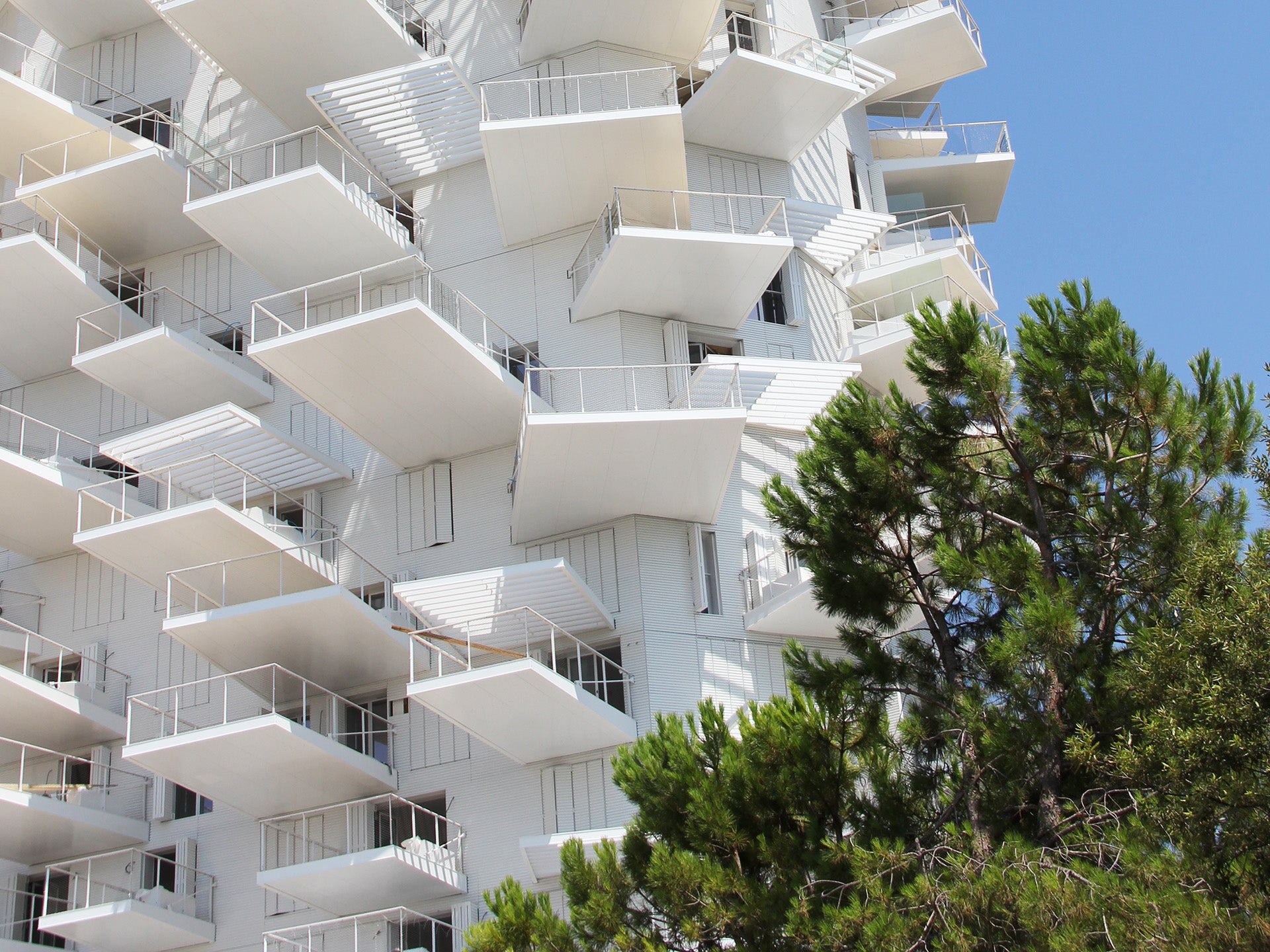 L'Arbre Blanc : la nouvelle signature architecturale emblématique