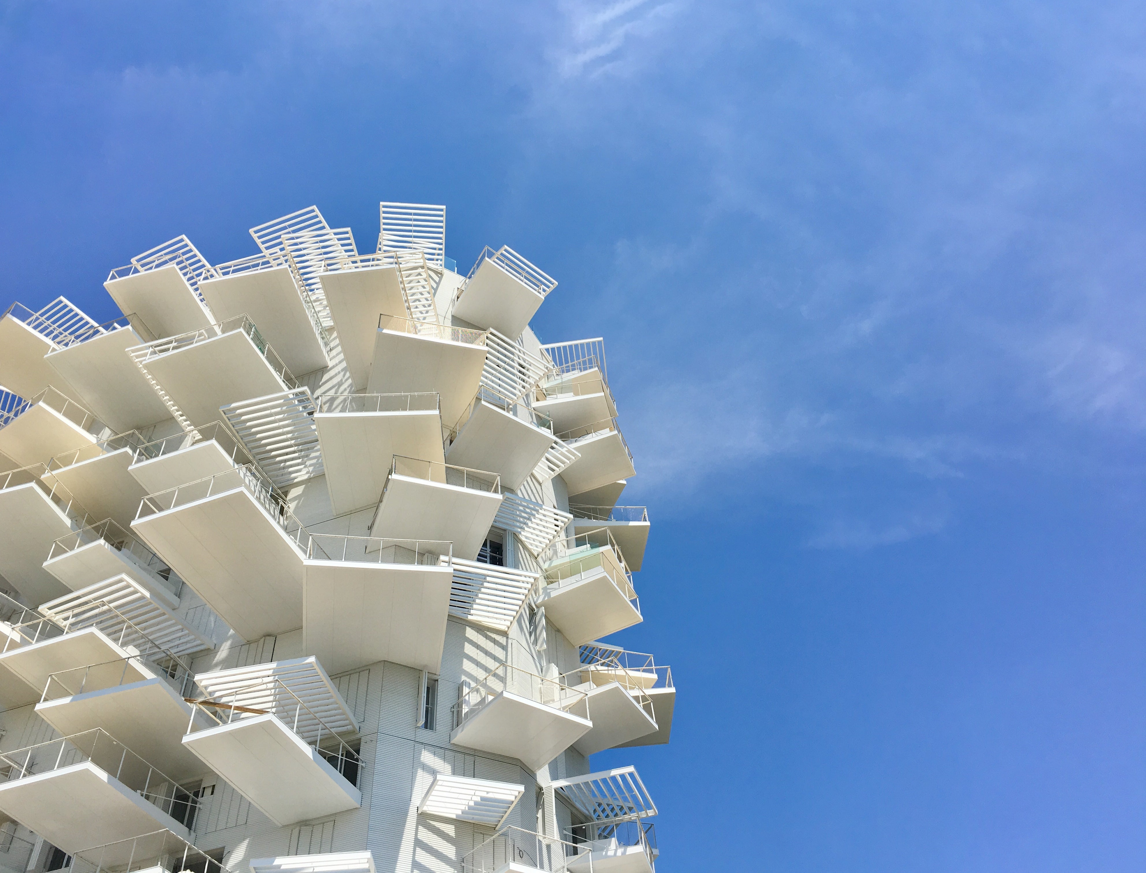 L'Arbre Blanc : la nouvelle signature architecturale emblématique