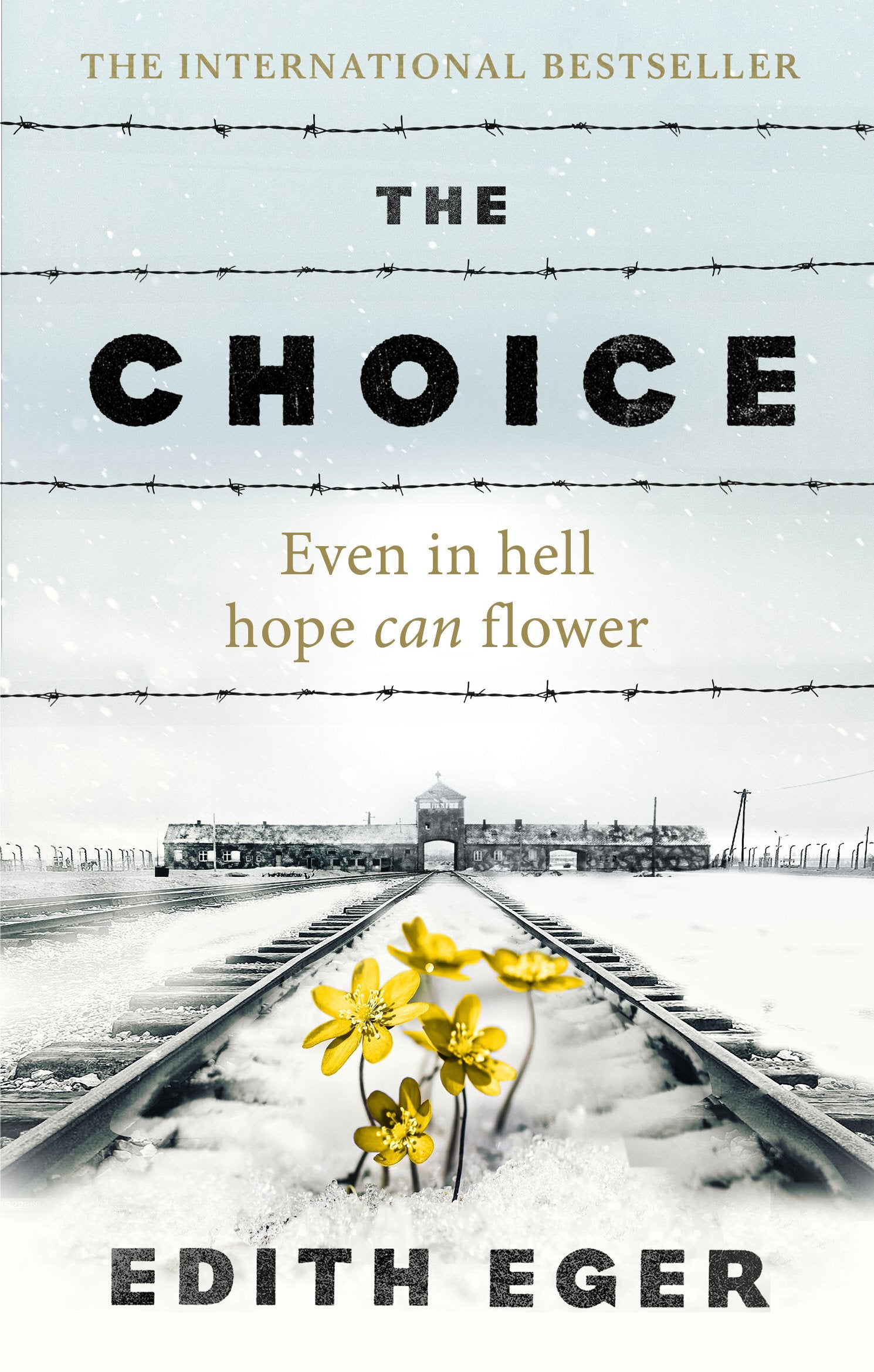 Seven Of The Best Books About The Holocaust Pan Macmillan