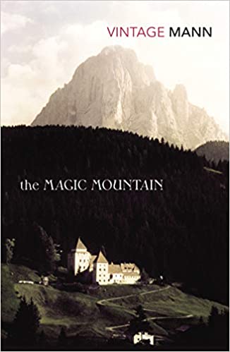Book cover for The Magic Mountain