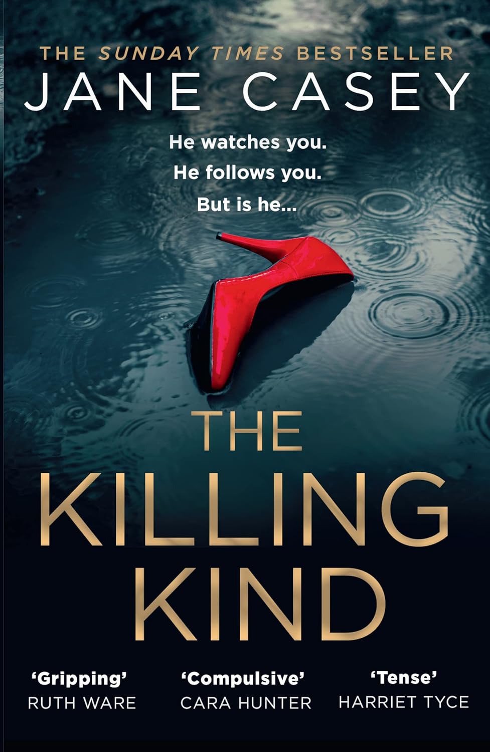 Book cover for The Killing Kind