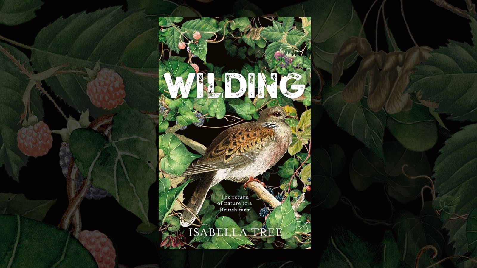 wilding knepp book wilding knepp book