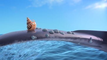 whale snail crafty macmillan televisual