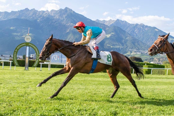 Pferderennplatz Meran- Foto Press Arigossi