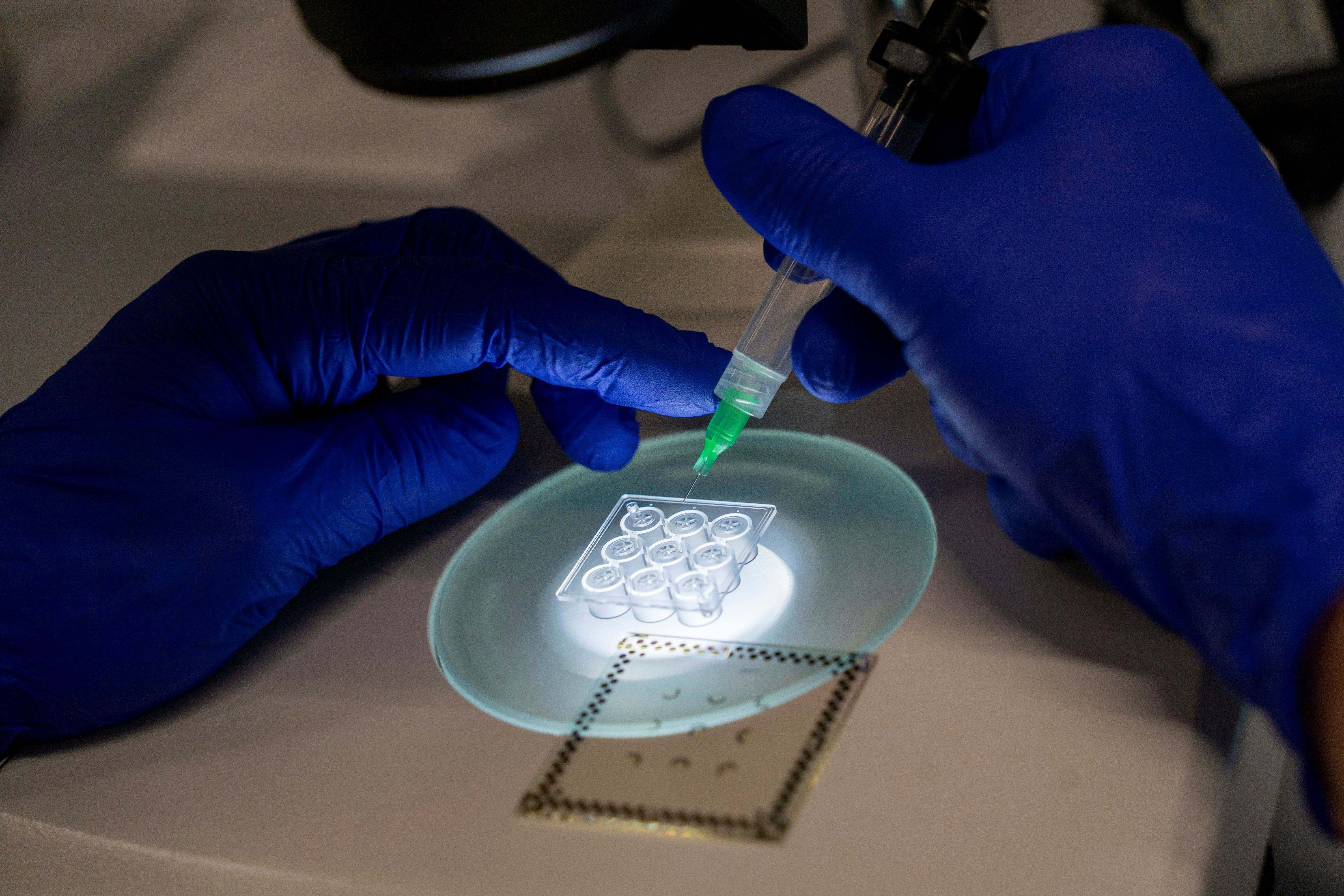 [external Link]: INNo-CHIP