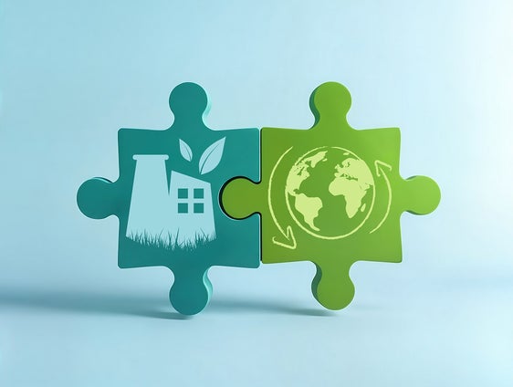 © CURIOS | Adobe Stock