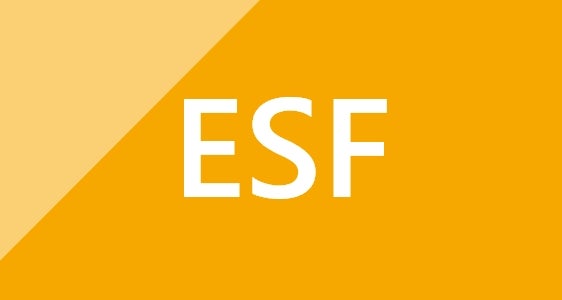 [external Link]: Fondo Sociale Europeo Plus (FSE+) 2021–2027