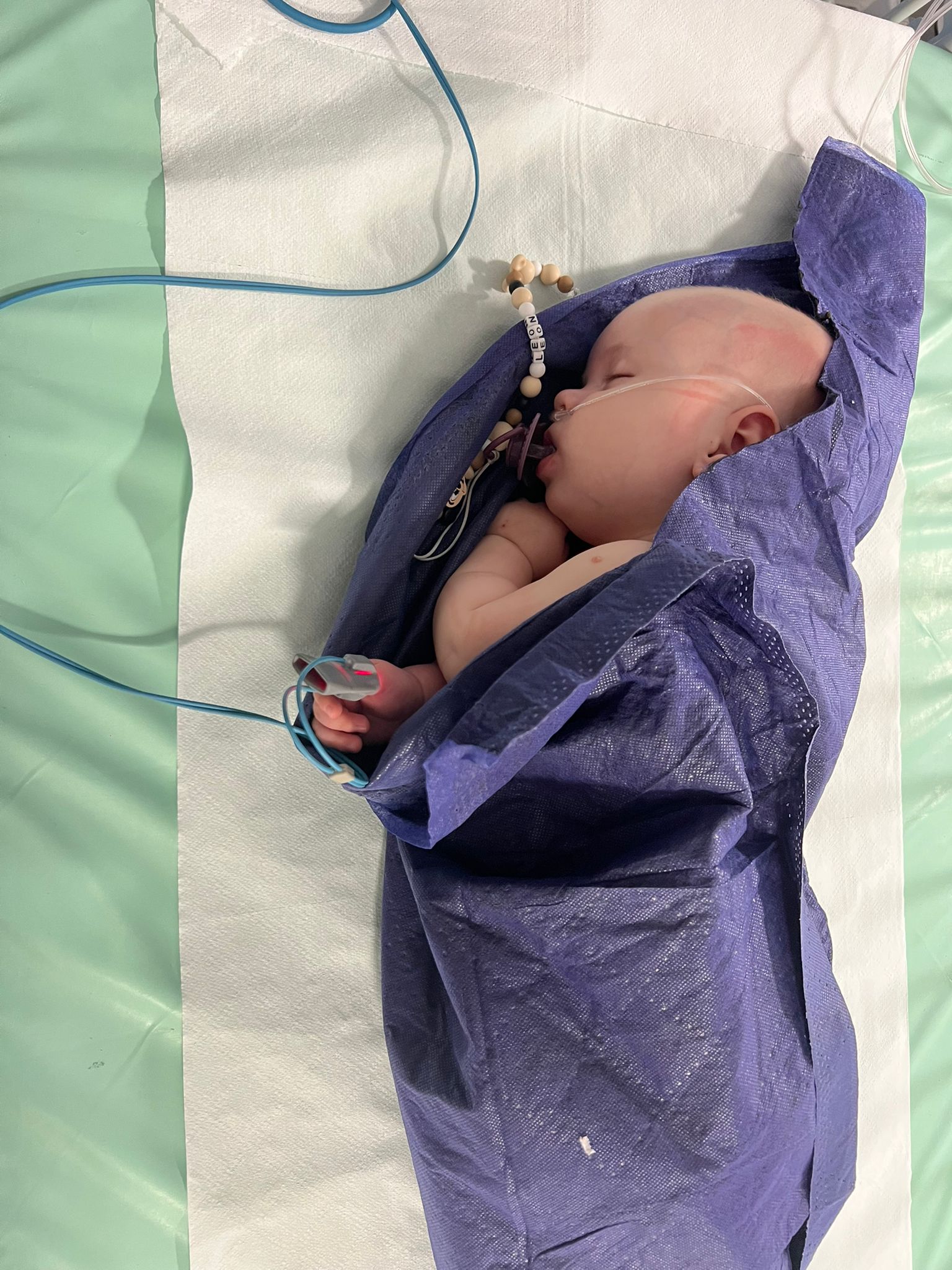 Leoś czeka na swojego „bliźniaka genetycznego”