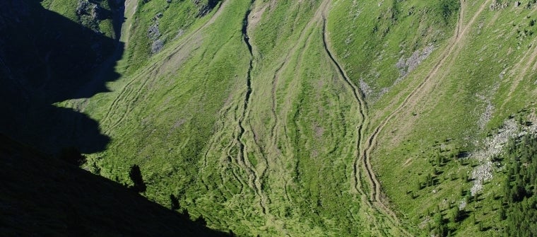 Geologische und geothematische Erhebungen