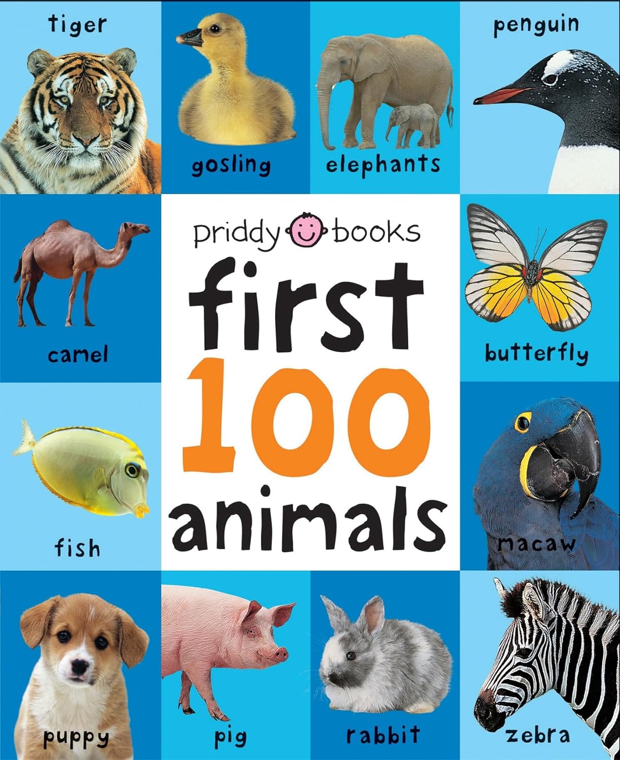Book cover for First 100 Animals