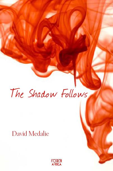 Book cover for The Shadow Follows