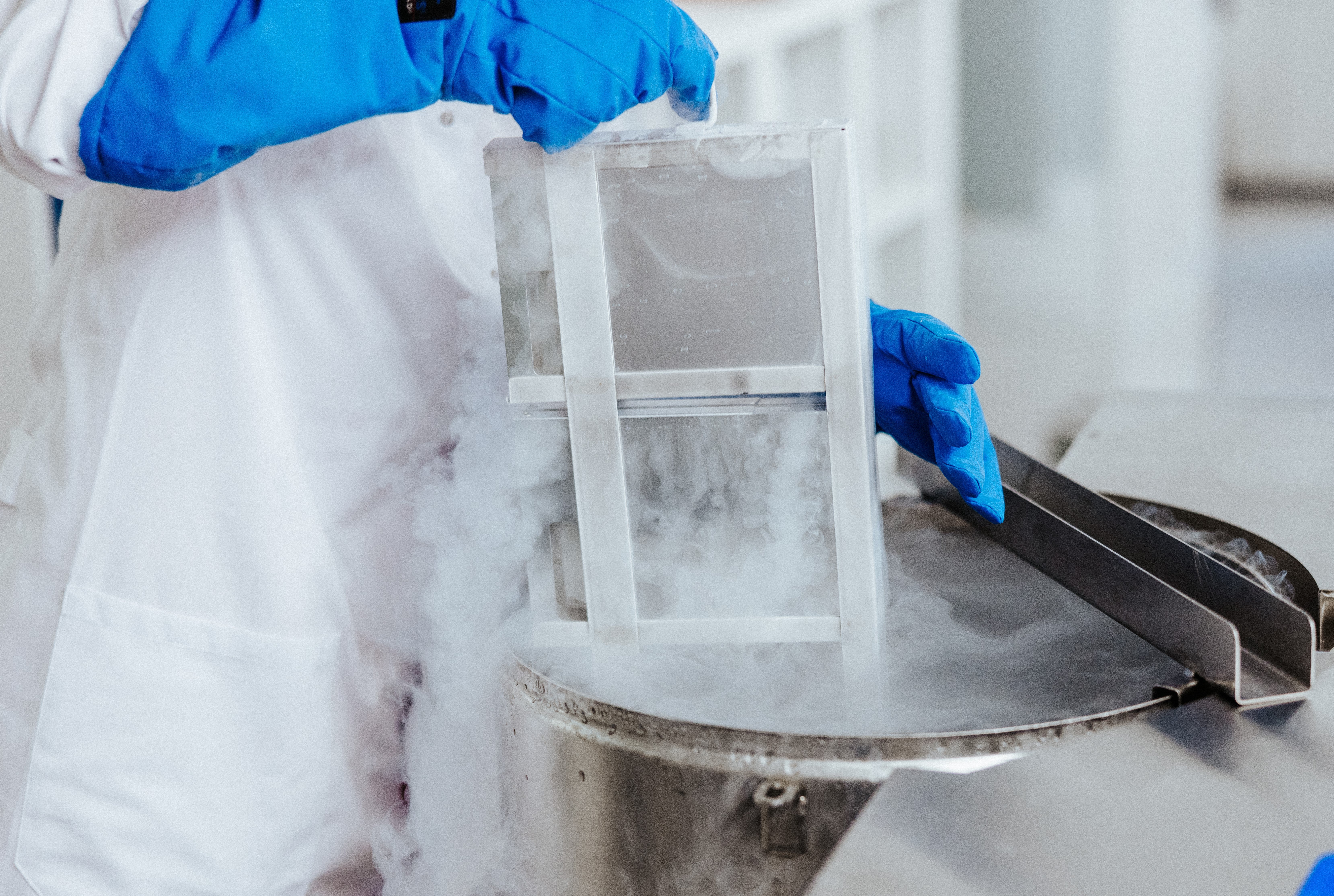 A scientist of the DKMS Stem Cell  Bank, wearing a white lab coat and blue cryogenic gloves, handles a metal rack with cryopreserved unoriented peripheral blood stem cells emerging from a cryotank filled with vapor in a sterile lab setting. These cells are also called Adult Donor Cryopreserved Units (ADCUs). The scientist's face is not visible.