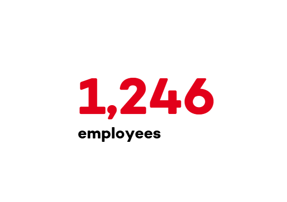 1,246 employees