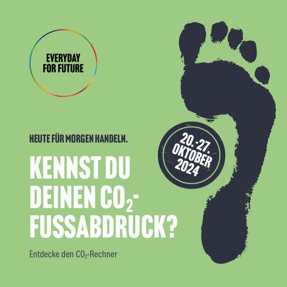 Jeder und jede einzelne kann einen Beitrag zum Klimaschutz leisten: Der CO2-Fußabdruck zeigt auf, wie viele Emissionen mit dem derzeitigen Lebensstil ausgestoßen werden und wo Verbesserungspotential besteht. (Grafik: LPA)