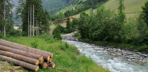 Il Teisslgraben prima dell'intervento: l'area boschiva del Teisslgraben si trovava al di sopra del letto del torrente. (Foto: USP/Ufficio Sistemazione bacini montani Nord presso l’Agenzia per la Protezione civile)