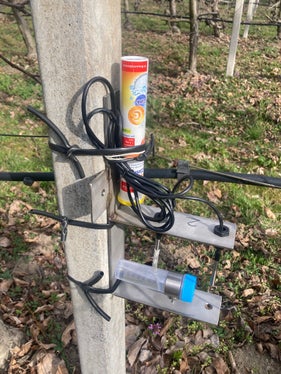 Gli studenti del quarto anno del corso di frutticoltura e viticoltura della Scuola professionale Laimburg hanno realizzato un progetto particolarmente orientato alla pratica e interdisciplinare, costruendo un sensore antigelo. (Foto: USP/Scuola professionale Laimburg)